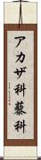 アカザ科 Scroll
