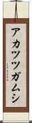 アカツツガムシ Scroll