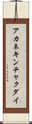 アカネキンチャクダイ Scroll