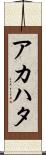 アカハタ Scroll