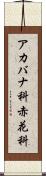 アカバナ科 Scroll