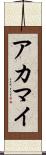 アカマイ Scroll