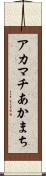 アカマチ Scroll