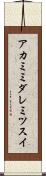 アカミミダレミツスイ Scroll