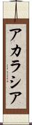アカラシア Scroll