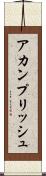 アカンプリッシュ Scroll