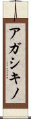 アガシキノ Scroll