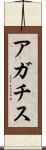 アガチス Scroll
