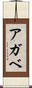 アガベ Scroll