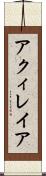アクィレイア Scroll