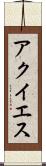 アクイエス Scroll