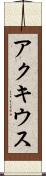 アクキウス Scroll