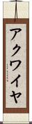 アクワイヤ Scroll