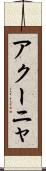 アクーニャ Scroll