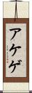 アケゲ Scroll