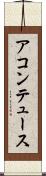 アコンテュース Scroll