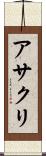 アサクリ Scroll