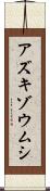 アズキゾウムシ Scroll