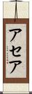 アセア Scroll