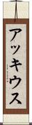 アッキウス Scroll