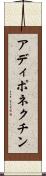アディポネクチン Scroll
