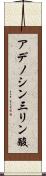 アデノシン三リン酸 Scroll
