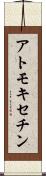 アトモキセチン Scroll