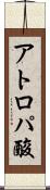 アトロパ酸 Scroll