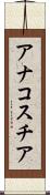 アナコスチア Scroll