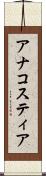 アナコスティア Scroll