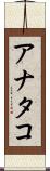 アナタコ Scroll