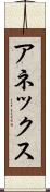 アネックス Scroll