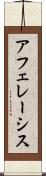 アフェレーシス Scroll