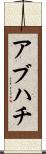 アブハチ Scroll