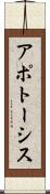 アポトーシス Scroll