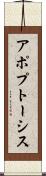 アポプトーシス Scroll