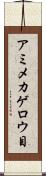 アミメカゲロウ目 Scroll