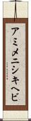 アミメニシキヘビ Scroll