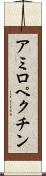 アミロペクチン Scroll