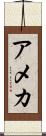 アメカ Scroll