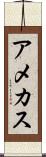 アメカス Scroll
