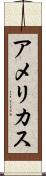アメリカス Scroll