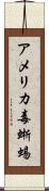 アメリカ毒蜥蜴 Scroll