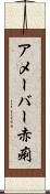 アメーバー赤痢 Scroll