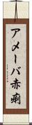 アメーバ赤痢 Scroll