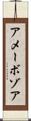 アメーボゾア Scroll
