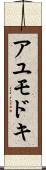 アユモドキ Scroll