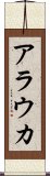 アラウカ Scroll