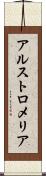 アルストロメリア Scroll