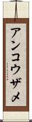アンコウザメ Scroll